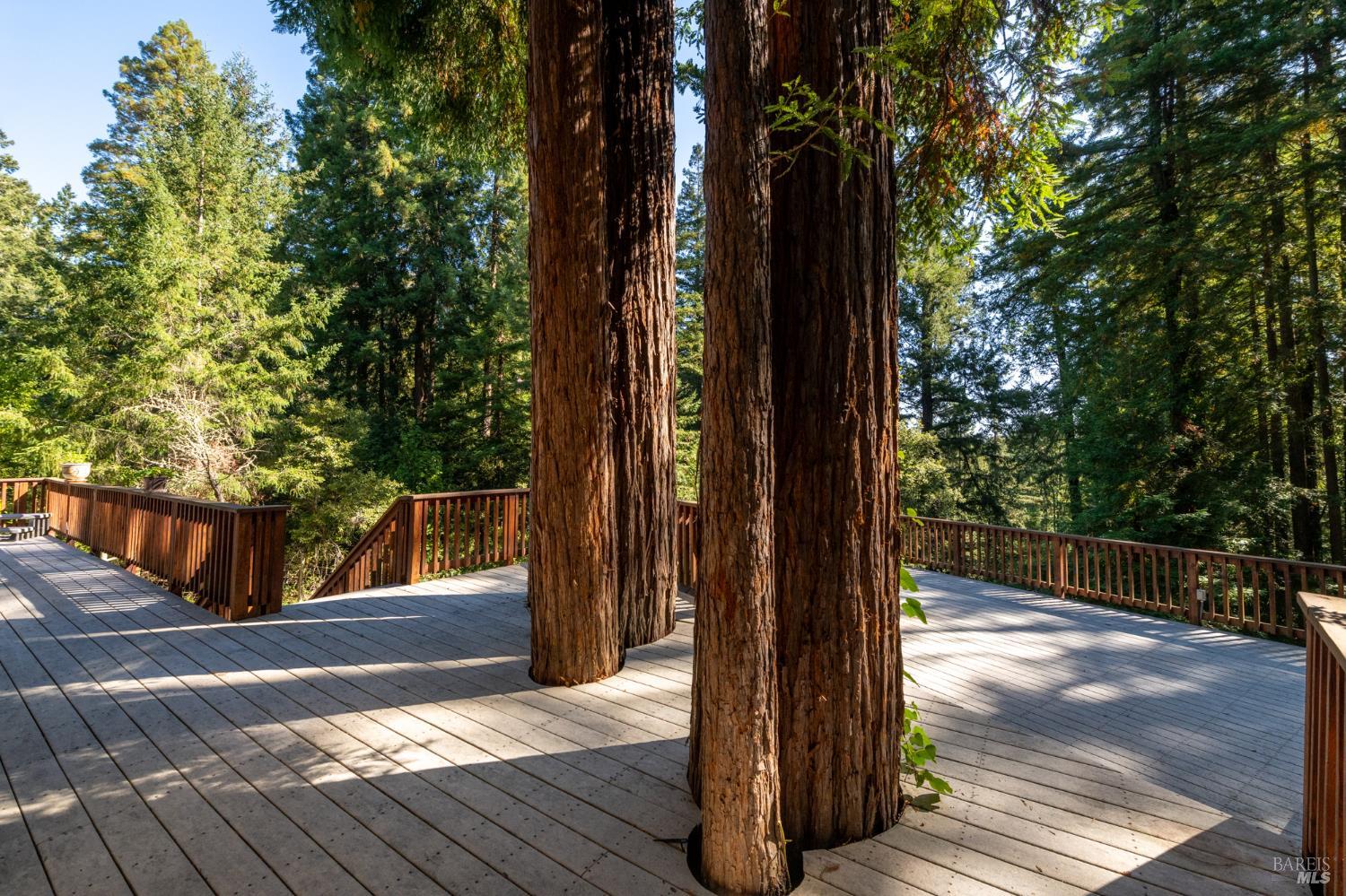 11532 Occidental Road Sebastopol CA 95472