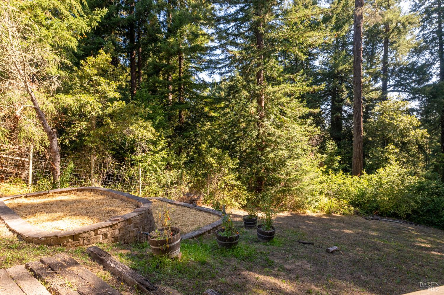 11532 Occidental Road Sebastopol CA 95472