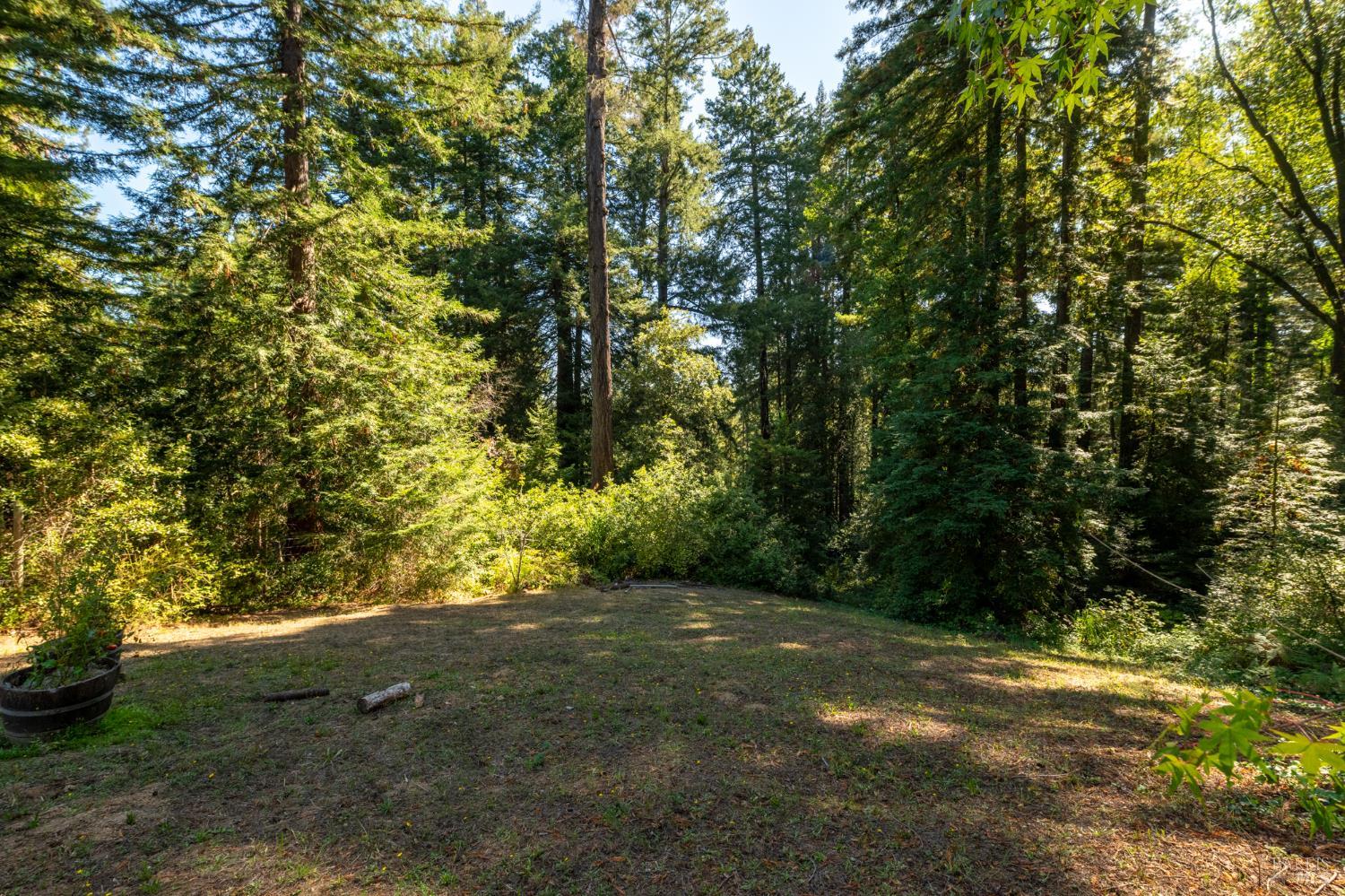 11532 Occidental Road Sebastopol CA 95472