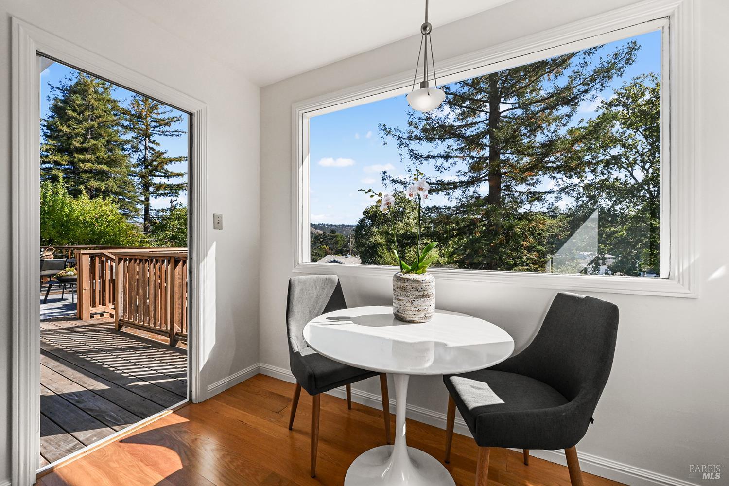 18 Plumas Avenue San Anselmo CA 94960