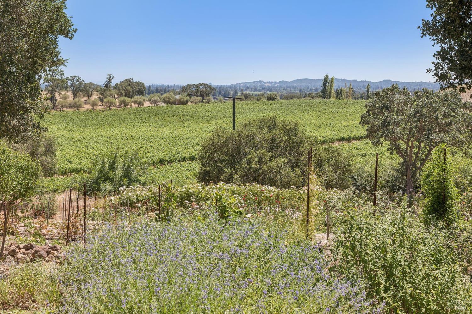 1035 Loma Vista Drive Napa CA 94558