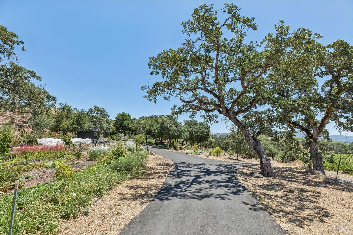 1035 Loma Vista Drive Napa CA 94558