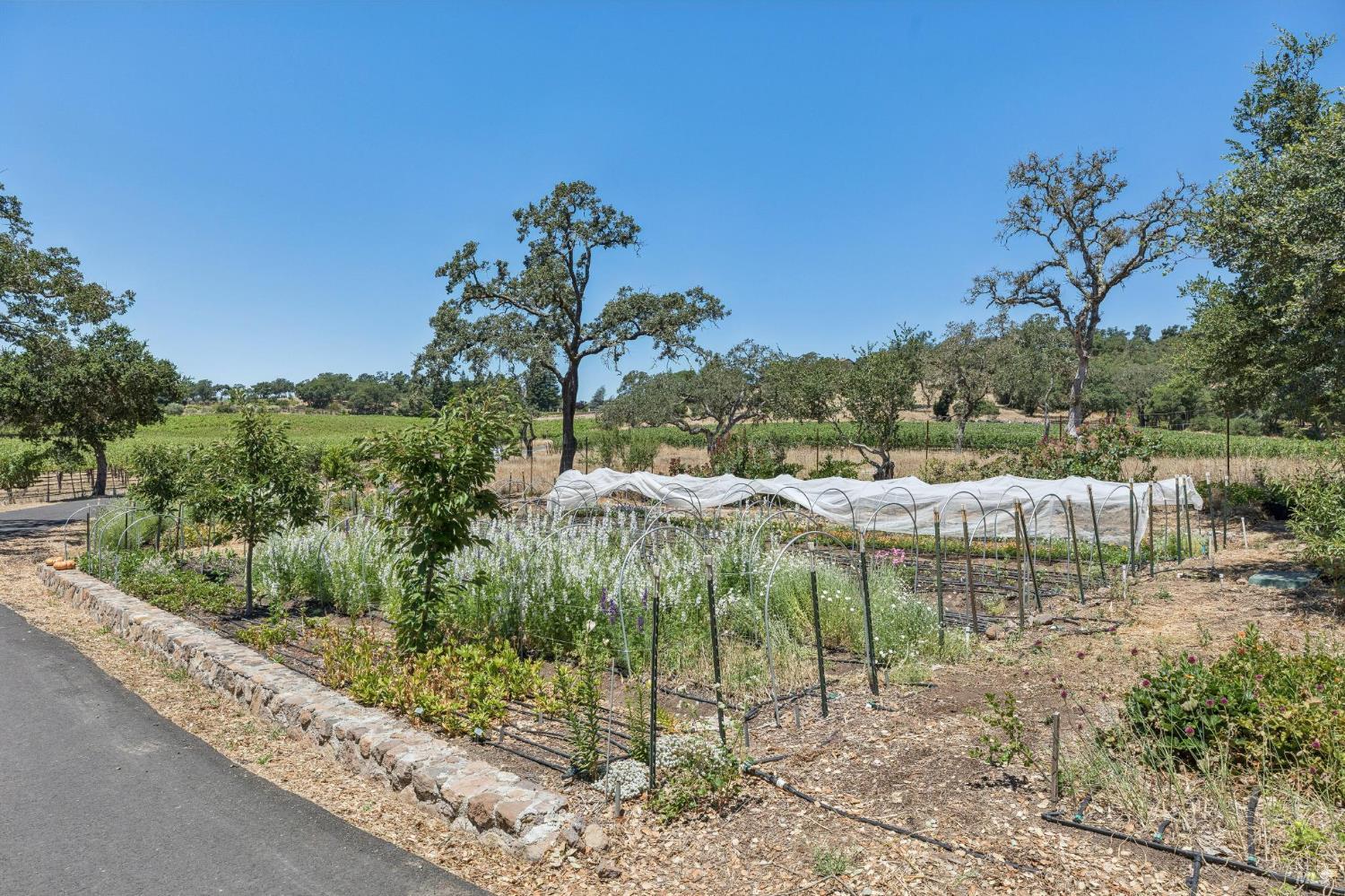 1035 Loma Vista Drive Napa CA 94558
