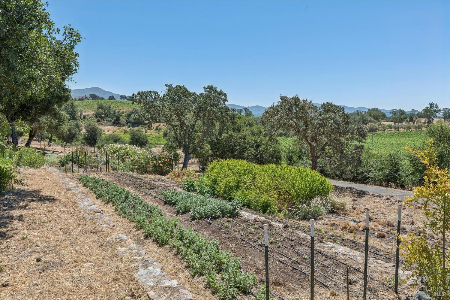 1035 Loma Vista Drive Napa CA 94558