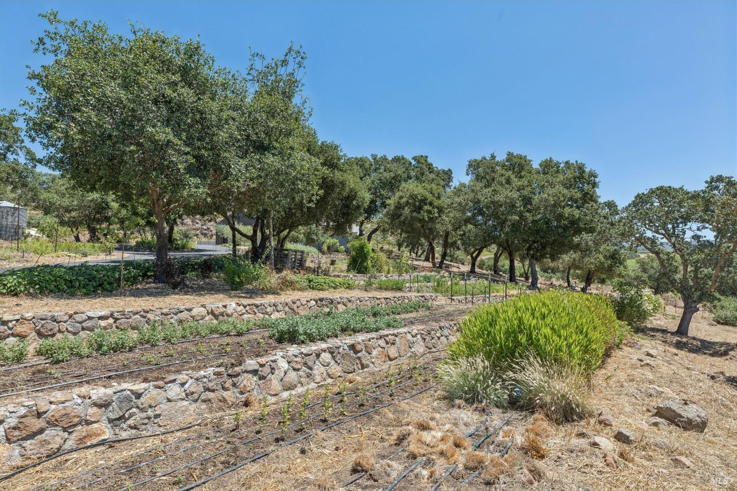 1035 Loma Vista Drive Napa CA 94558