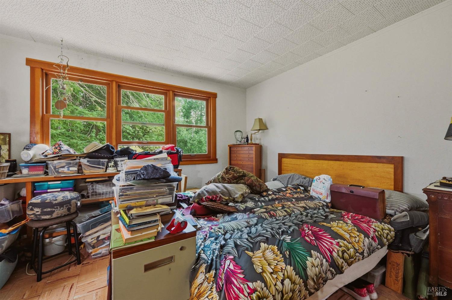 589 Pleasant Hill Road Sebastopol CA 95472