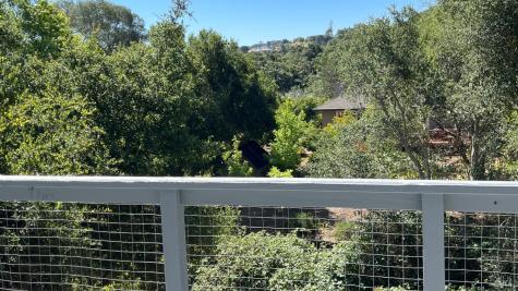 496 Oak Brook Court Santa Rosa CA 95409
