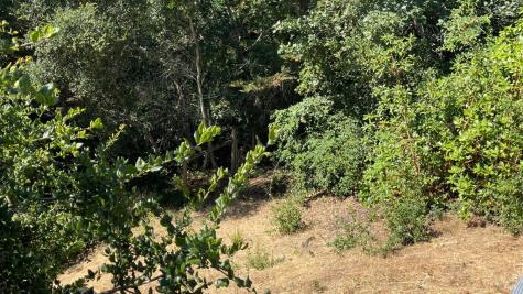 496 Oak Brook Court Santa Rosa CA 95409