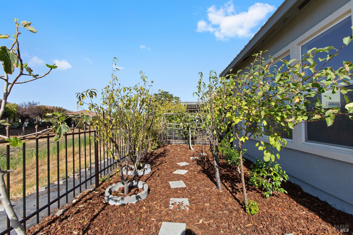 513 Black Diamond Drive Rio Vista CA 94571