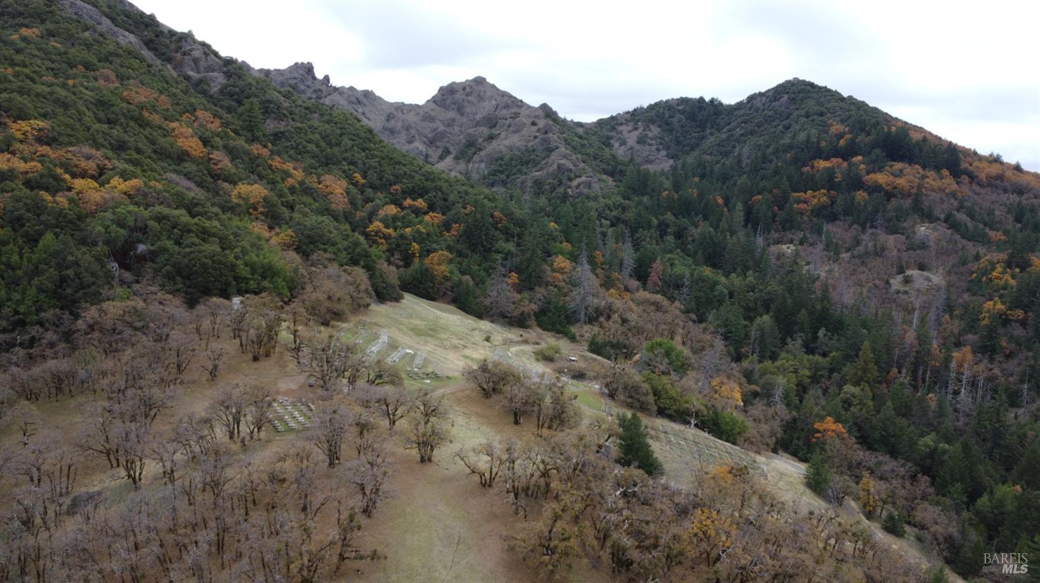 6565 Spyrock Road Laytonville CA 95454