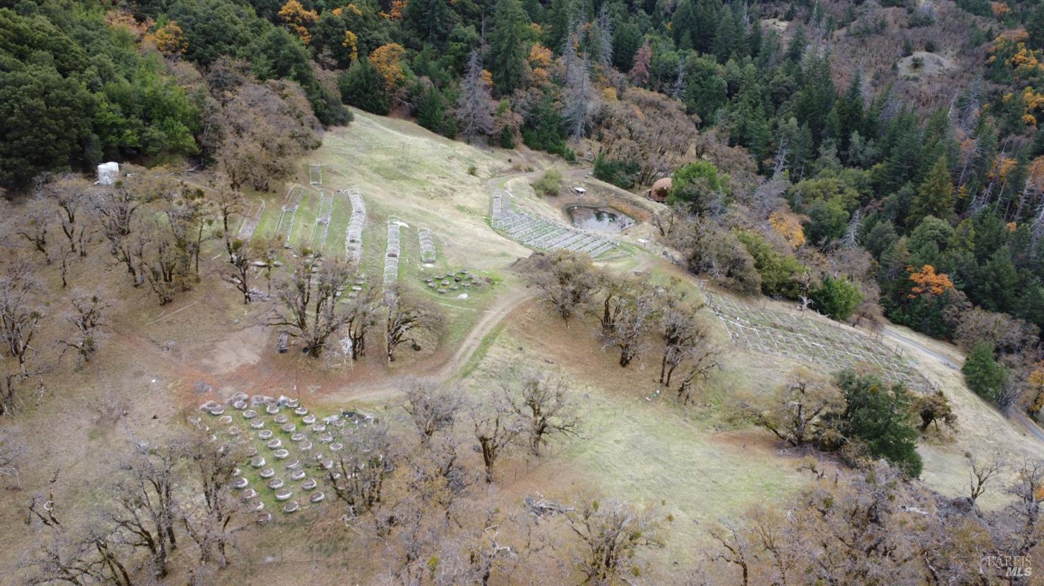 6565 Spyrock Road Laytonville CA 95454