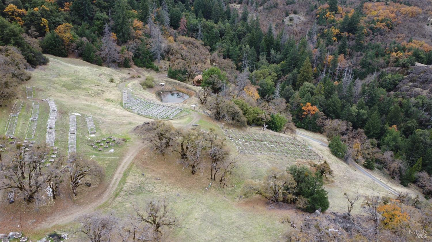 6565 Spyrock Road Laytonville CA 95454