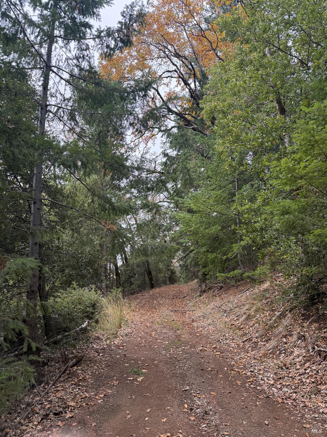 6565 Spyrock Road Laytonville CA 95454