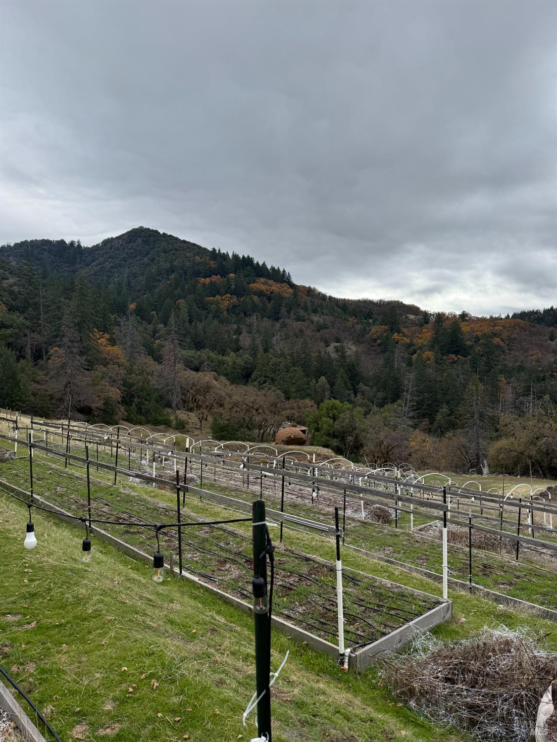 6565 Spyrock Road Laytonville CA 95454