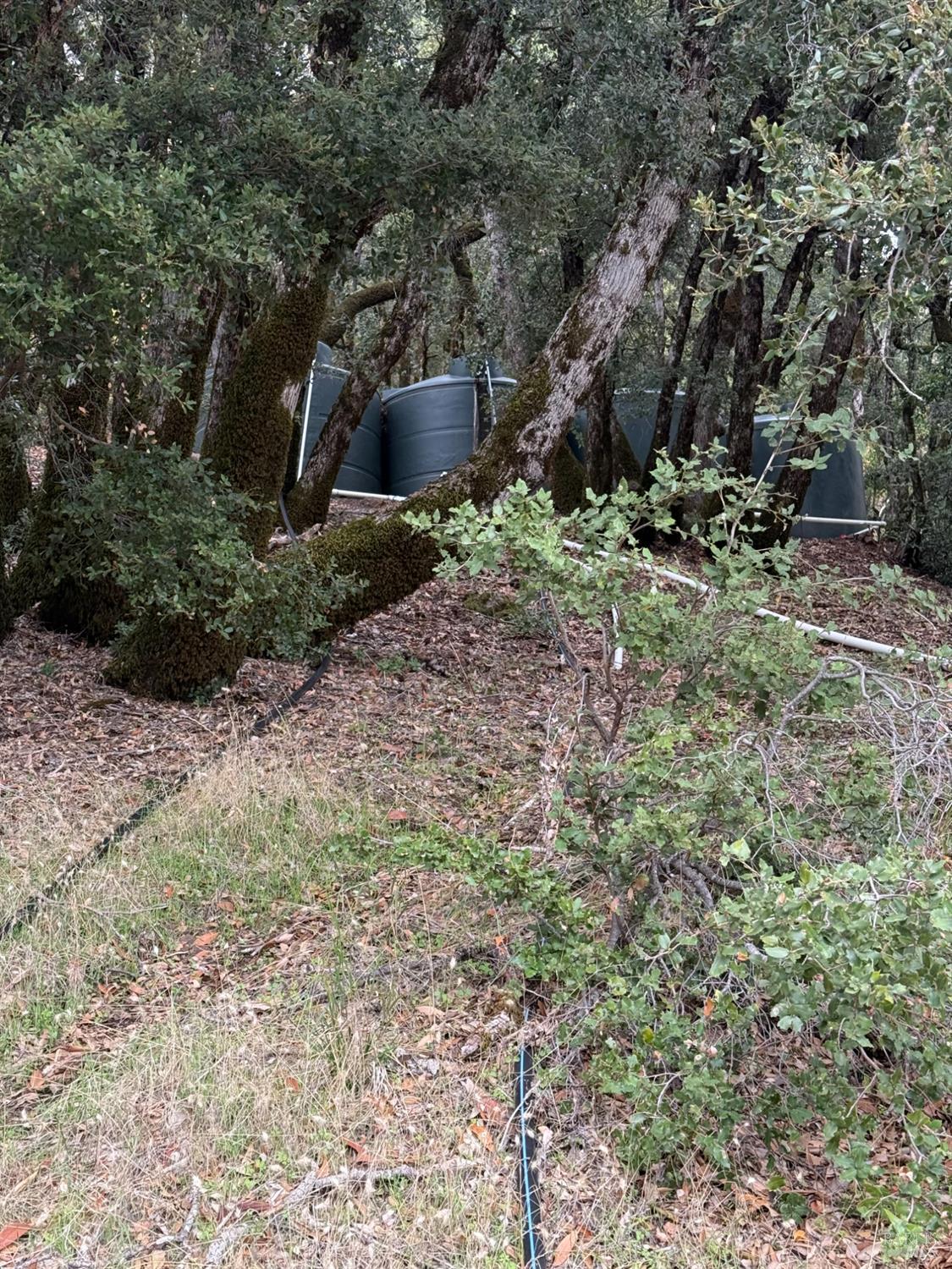 6565 Spyrock Road Laytonville CA 95454