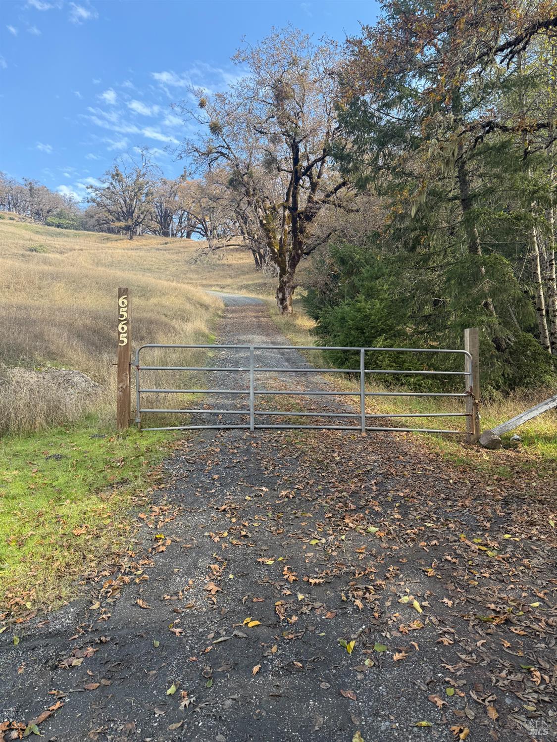 6565 Spyrock Road Laytonville CA 95454