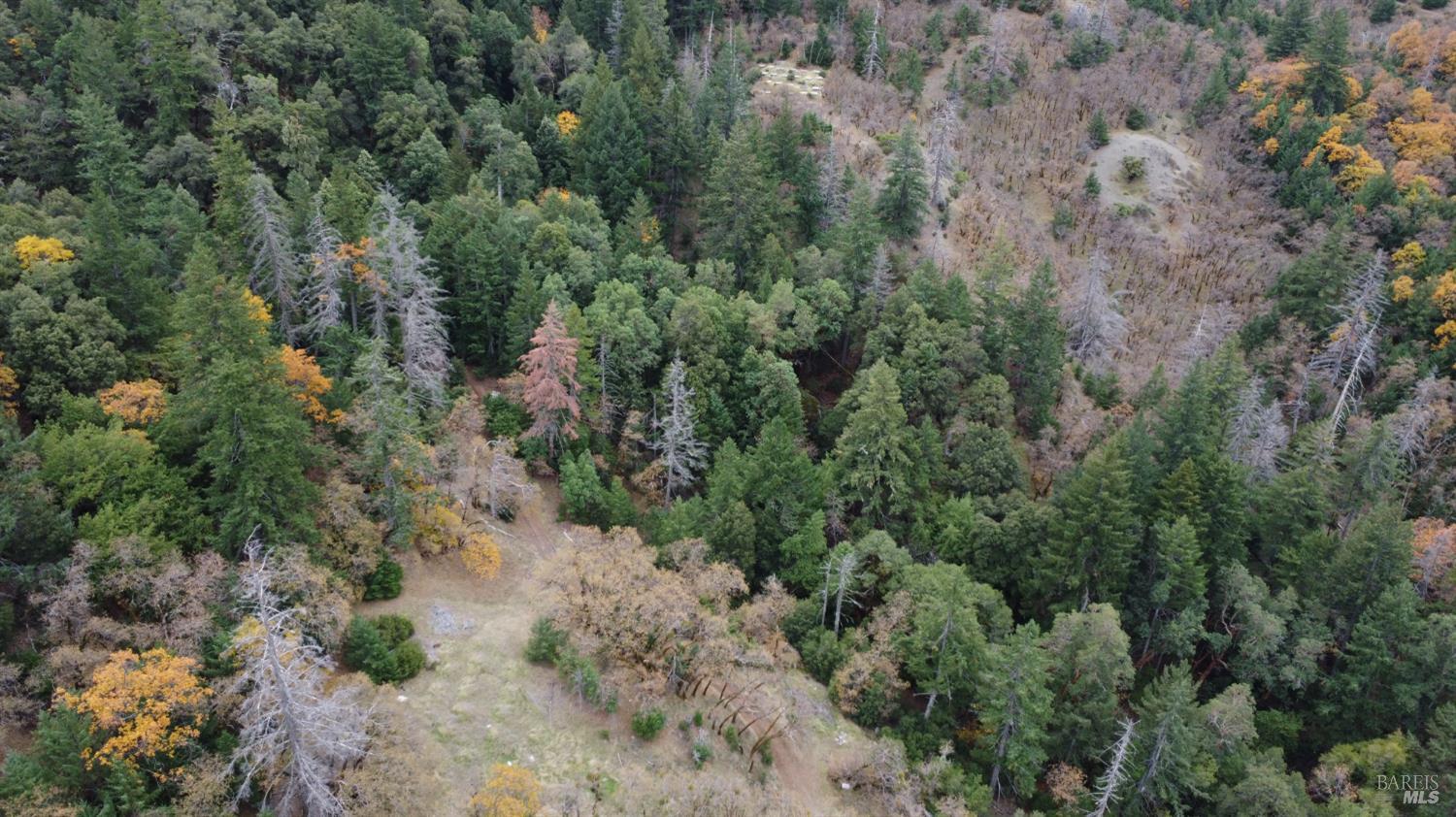 6565 Spyrock Road Laytonville CA 95454