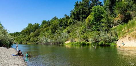 9199 Rio Vista Road Forestville CA 95436