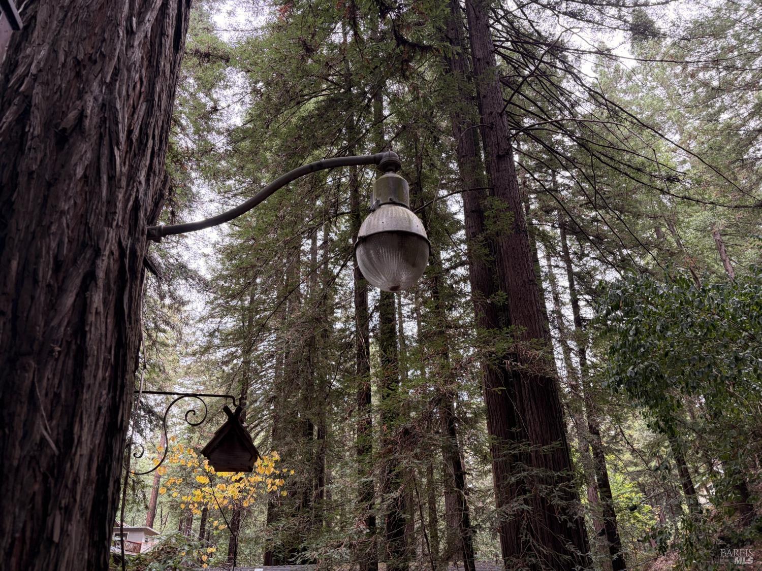 11659 Saratoga Avenue Guerneville CA 95436