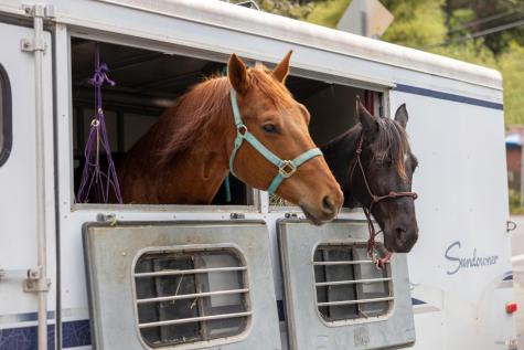 10 Park Avenue Bolinas CA 94924