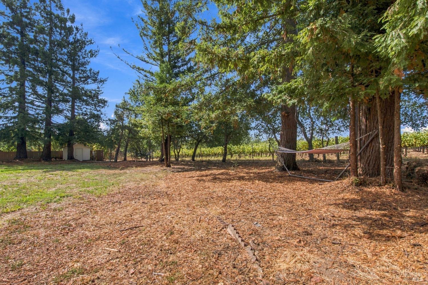 1225 Olive Hill Lane Napa CA 94558