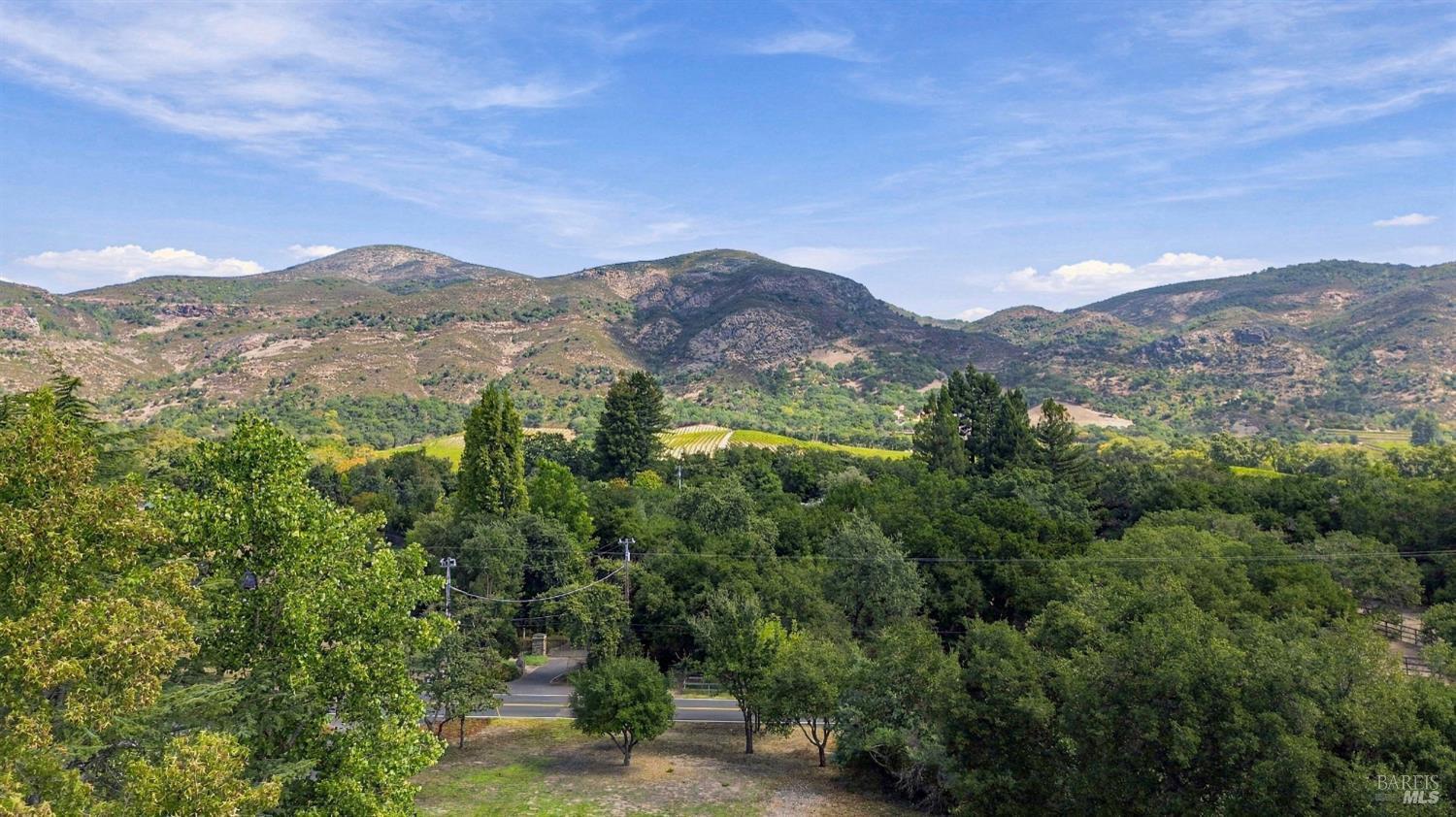 1225 Olive Hill Lane Napa CA 94558