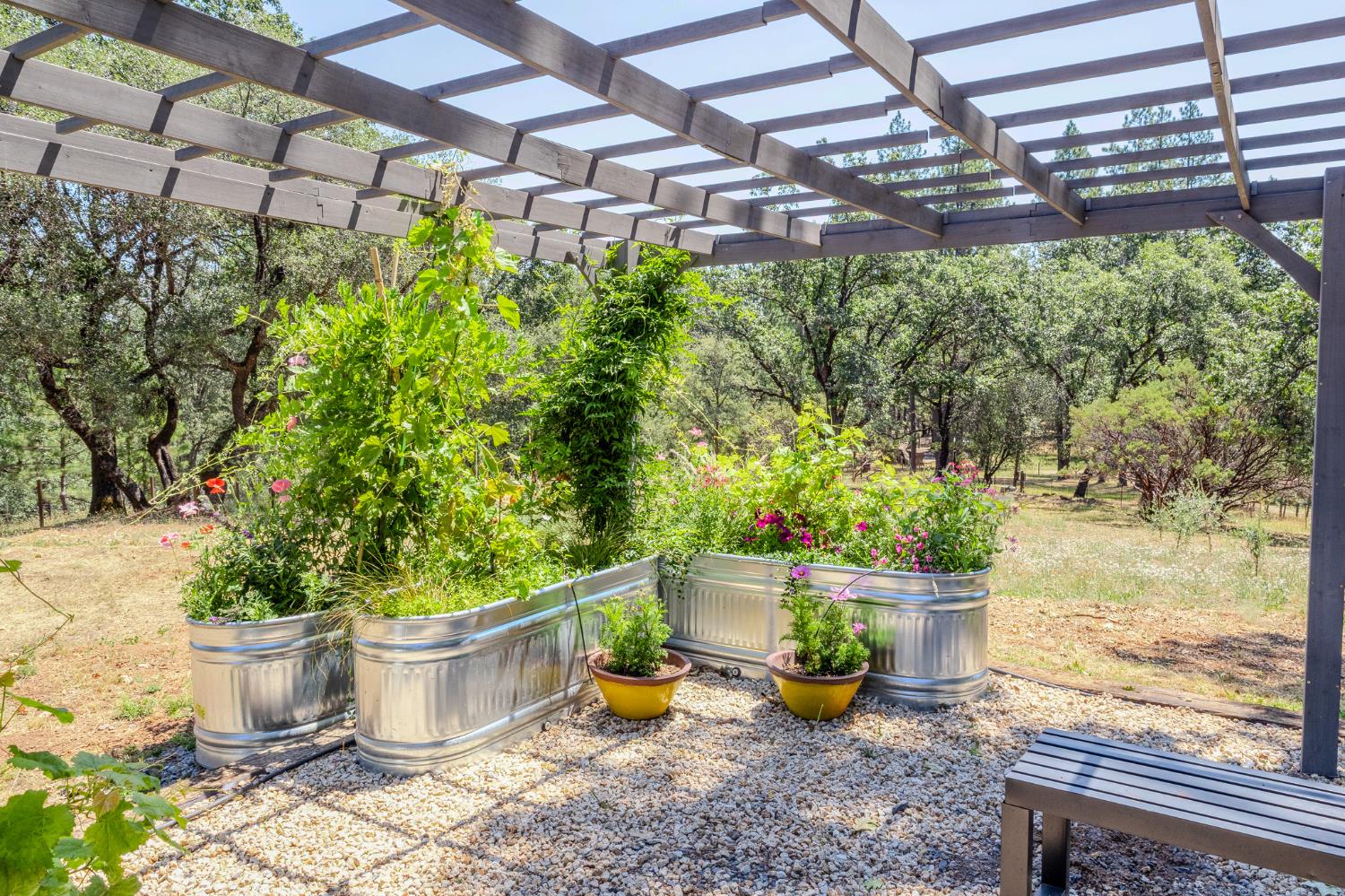 27689 Table Meadow Road Auburn CA 95602