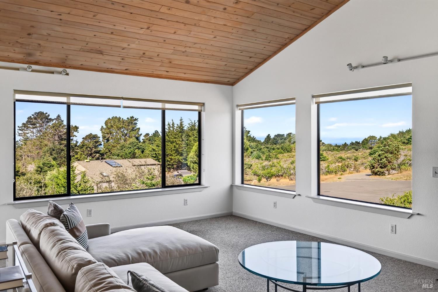 226 White Tail The Sea Ranch CA 95497