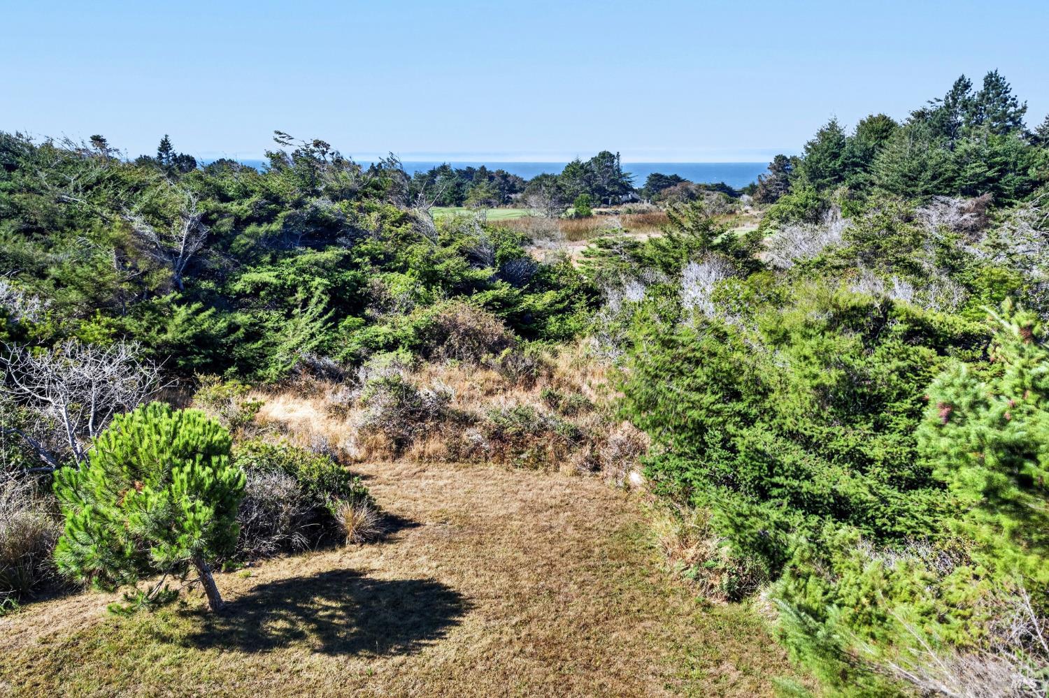 226 White Tail The Sea Ranch CA 95497