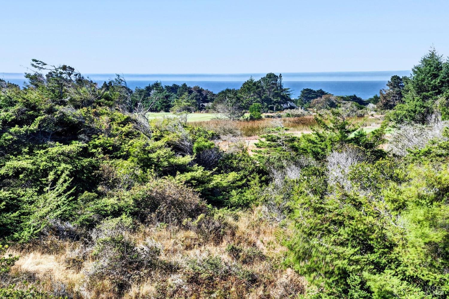 226 White Tail The Sea Ranch CA 95497