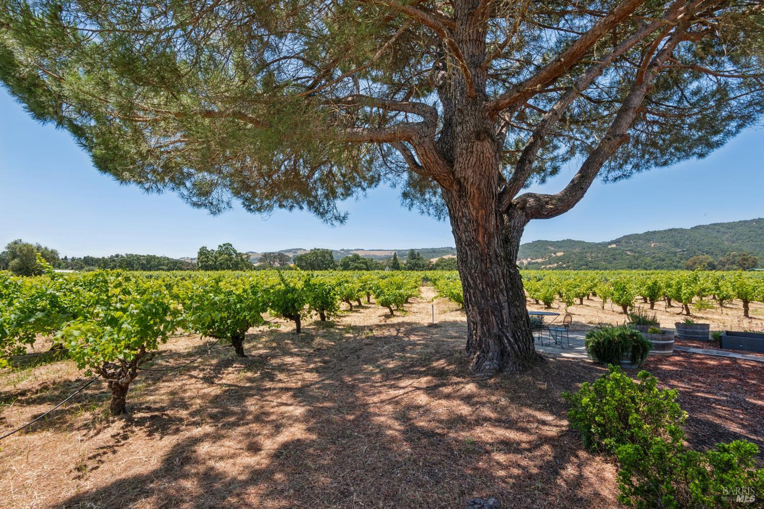 1075 Lark Avenue Sonoma CA 95476