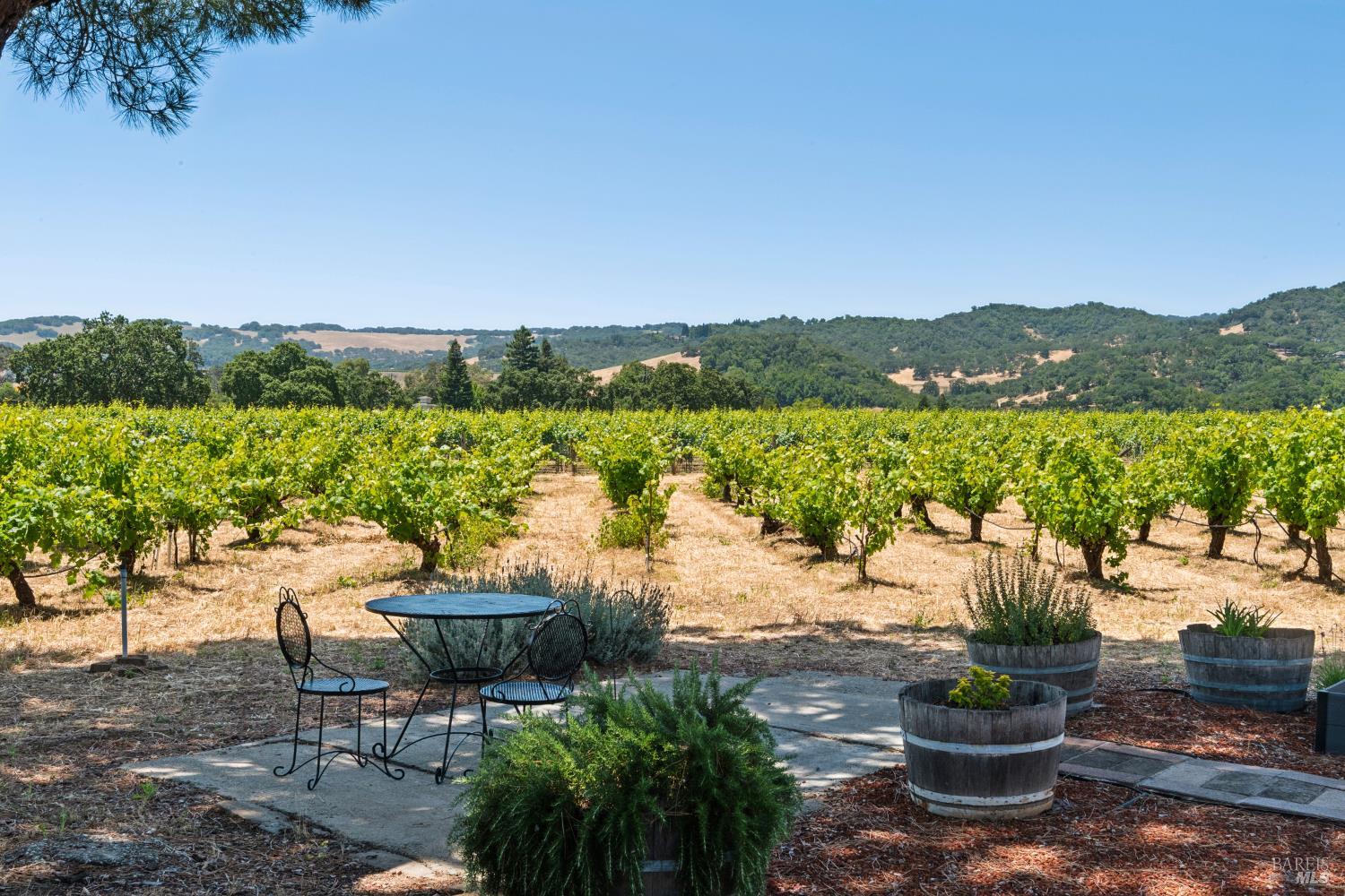 1075 Lark Avenue Sonoma CA 95476