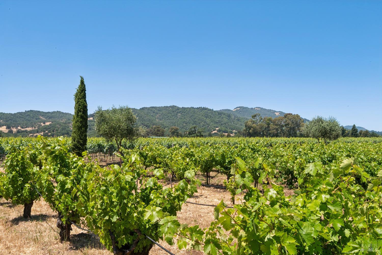 1075 Lark Avenue Sonoma CA 95476