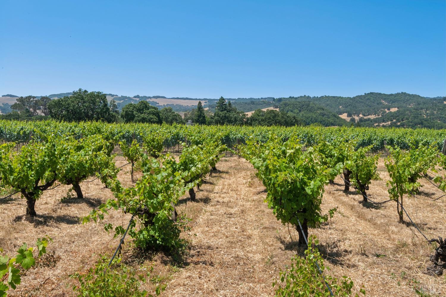 1075 Lark Avenue Sonoma CA 95476