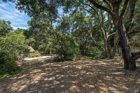 700 Ellis Court Sebastopol CA 95472