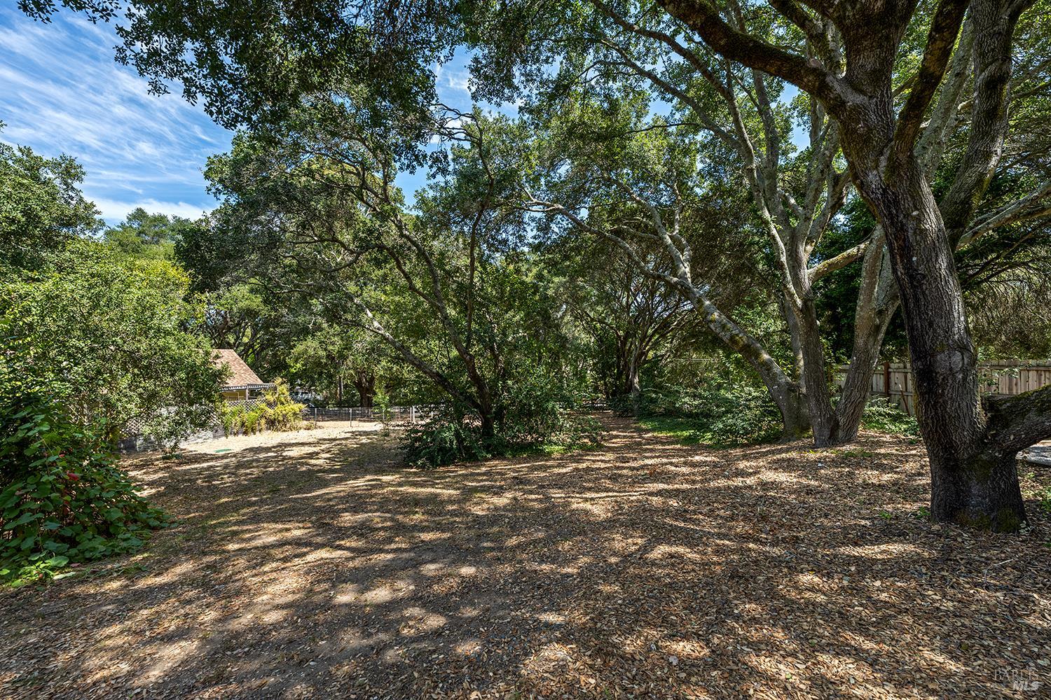 700 Ellis Court Sebastopol CA 95472