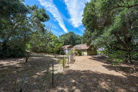 700 Ellis Court Sebastopol CA 95472