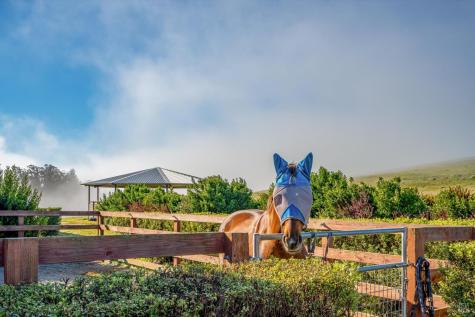 4707 Bloomfield Road Petaluma CA 94952