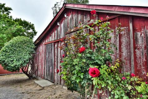 704 Bloomfield Road Sebastopol CA 95472