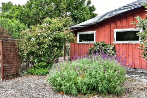 704 Bloomfield Road Sebastopol CA 95472