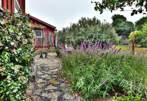 704 Bloomfield Road Sebastopol CA 95472