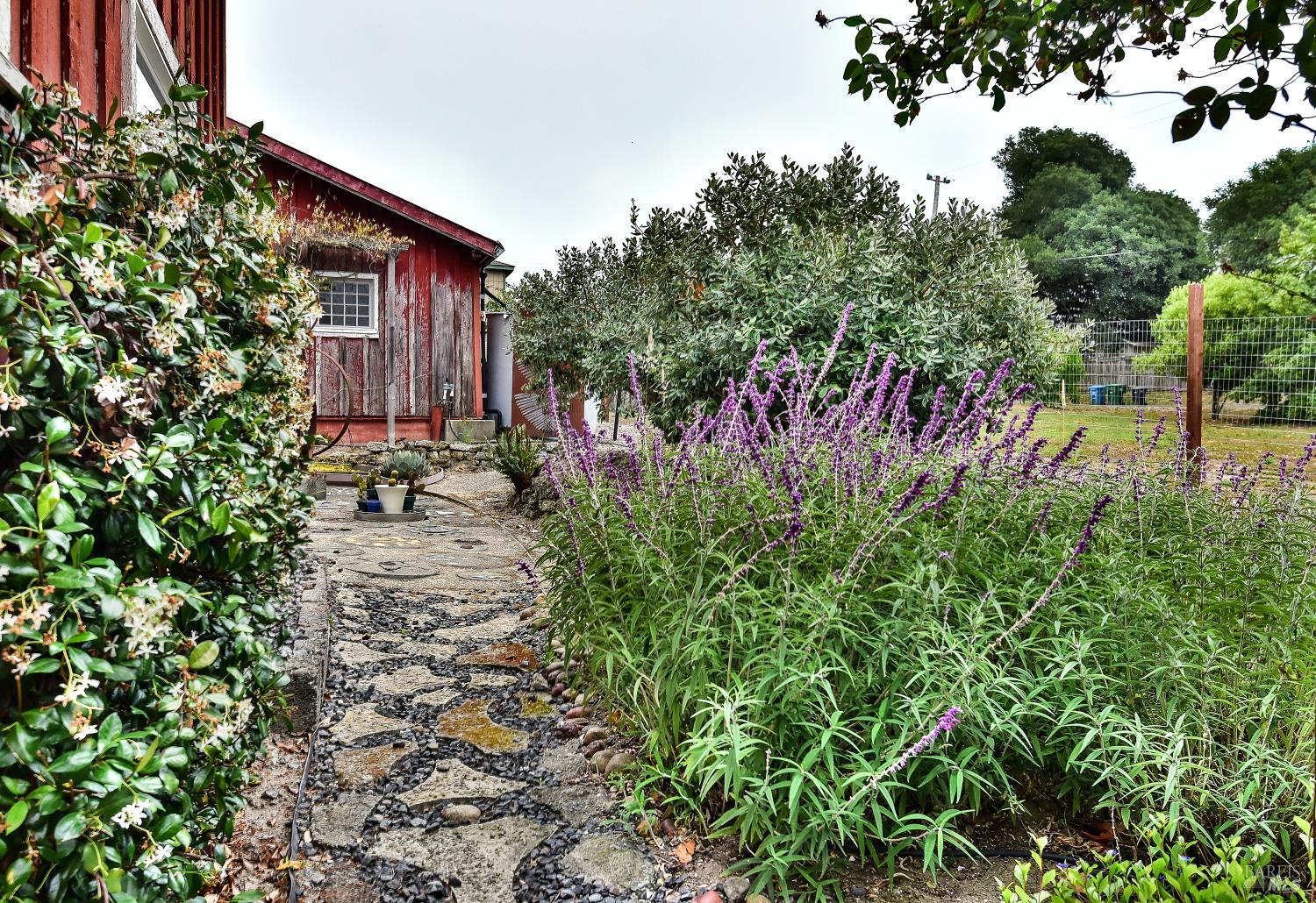 704 Bloomfield Road Sebastopol CA 95472
