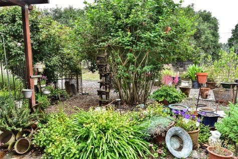 704 Bloomfield Road Sebastopol CA 95472