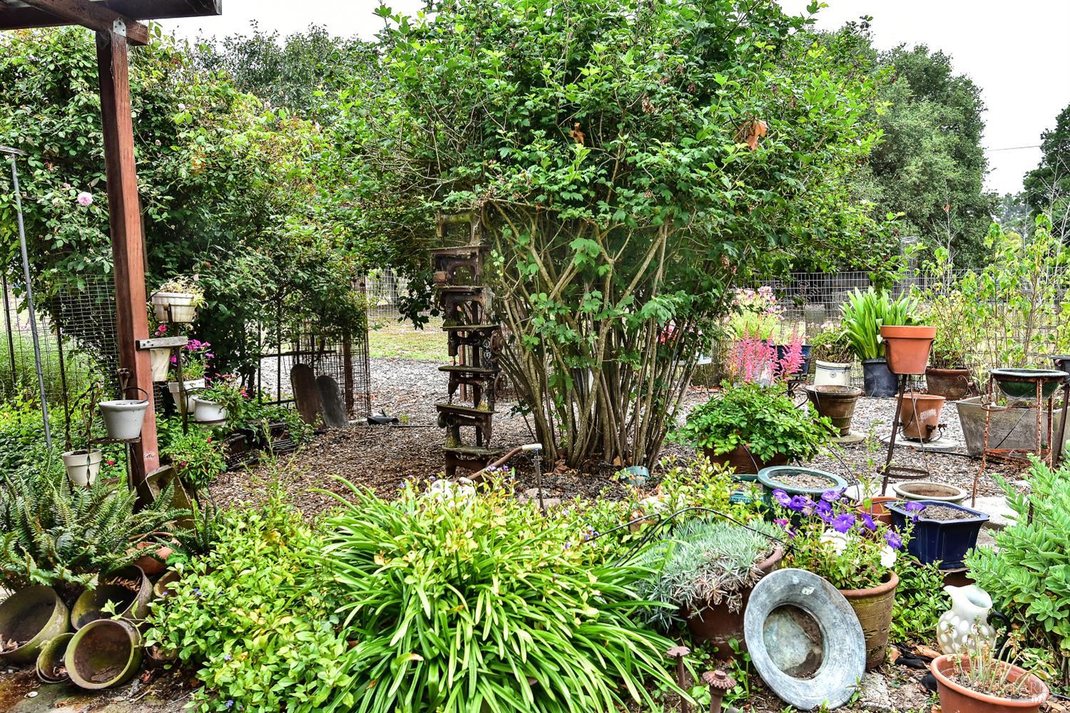704 Bloomfield Road Sebastopol CA 95472