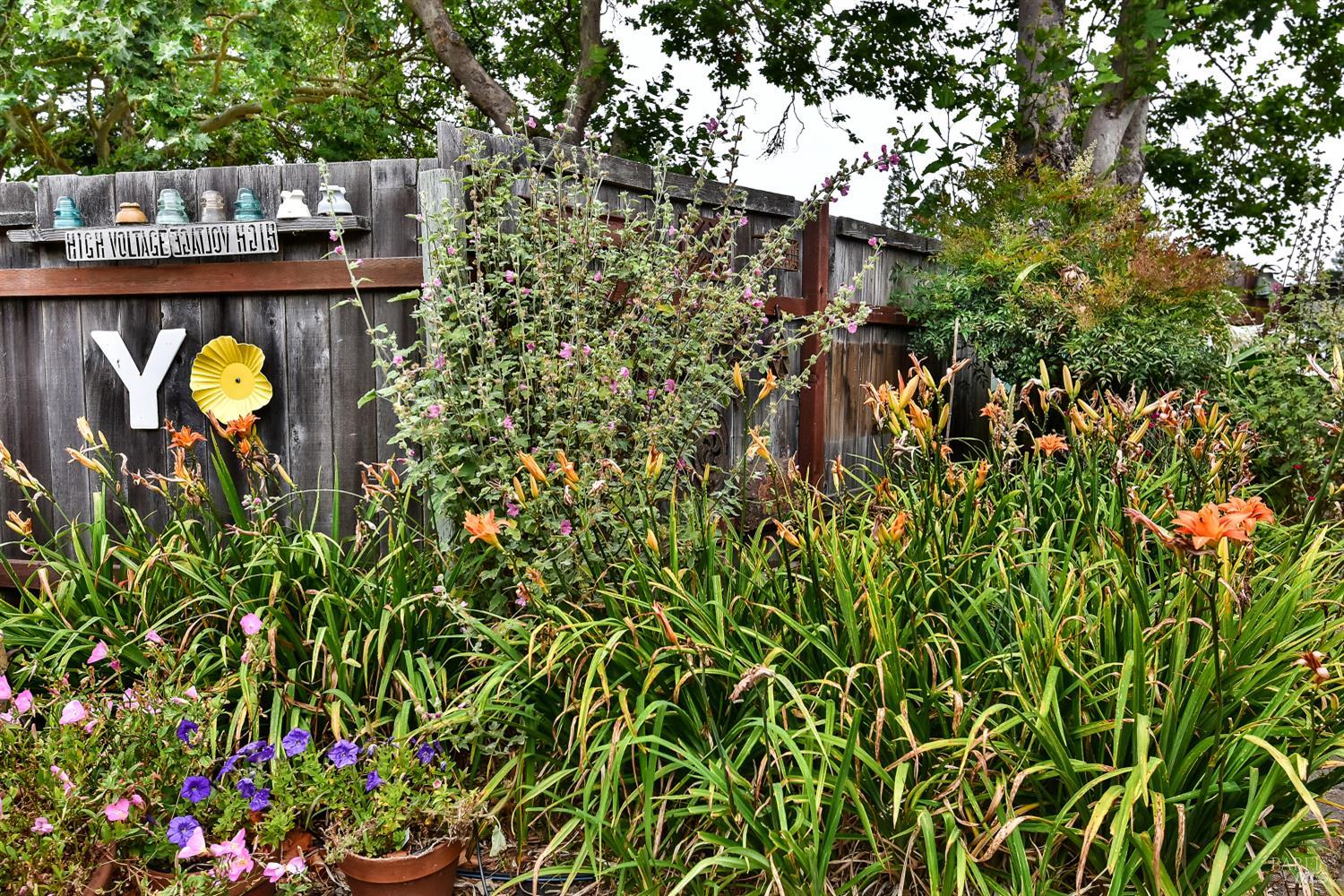 704 Bloomfield Road Sebastopol CA 95472