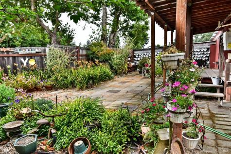 704 Bloomfield Road Sebastopol CA 95472