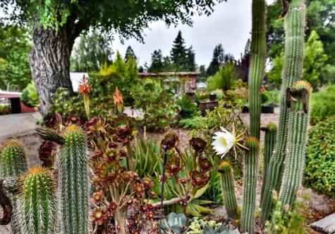 704 Bloomfield Road Sebastopol CA 95472