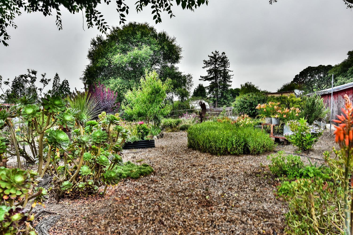 704 Bloomfield Road Sebastopol CA 95472