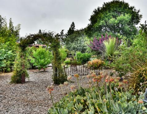 704 Bloomfield Road Sebastopol CA 95472