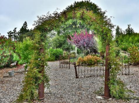 704 Bloomfield Road Sebastopol CA 95472